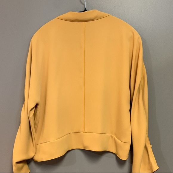 Babaton Blouse - Picture 3 of 3